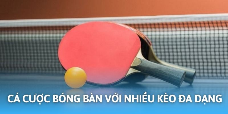 Cá cược bóng bàn hấp dẫn thu hút đông đảo hội viên tại SABA